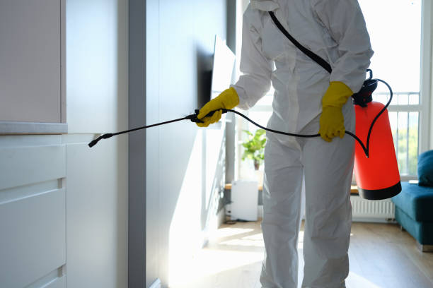 Best Commercial Mold Removal  in Stafford Springs, CT